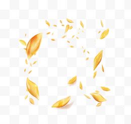 金黄的小麦粒