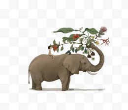 大象与花