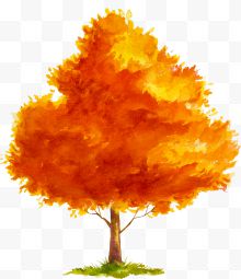 手绘秋天的树木图