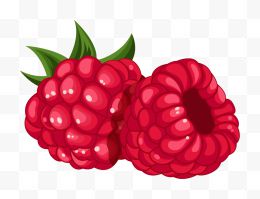 树莓水果PNG矢量