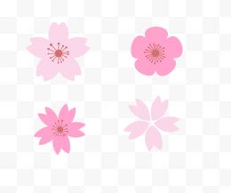粉色清新花瓣花朵花卉