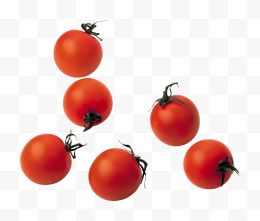 六个西红柿