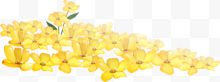 黄色可爱花朵造型花海