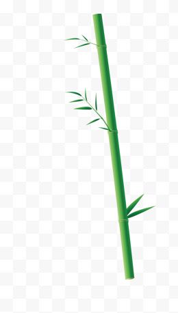 一棵绿色竹子