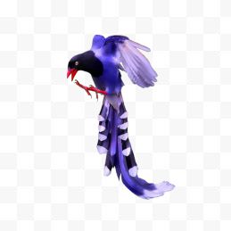 紫色凤尾鸟3