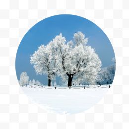 传统二十四节气大雪景色
