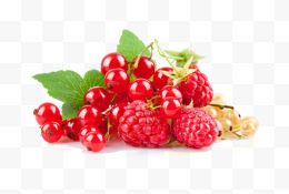 新鲜树莓水果