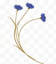 三朵蓝色小花