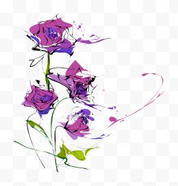 水彩线条紫玫瑰