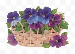 一篮紫色鲜花