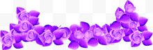 紫色花朵叶子边框