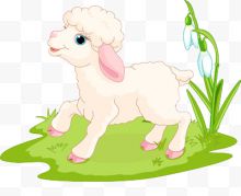 草地上的小羊羔