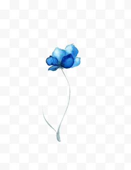 水彩蓝色小花