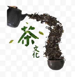 茶文化倒出茶叶