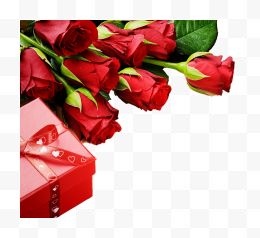 红色玫瑰花与红色礼盒...