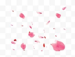 落下的粉红色花瓣