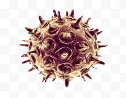 生物医学病毒细胞图形...