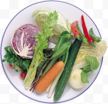 绿色蔬菜 白菜