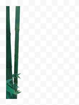 卡通手绘两根绿色竹子