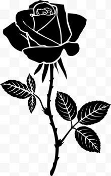 手绘带刺的玫瑰花