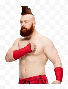 Sheamus