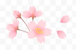 手绘樱花和花瓣花朵素材