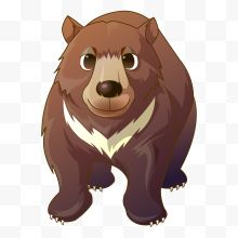 一头棕熊