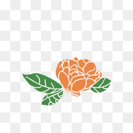 橙色牡丹花