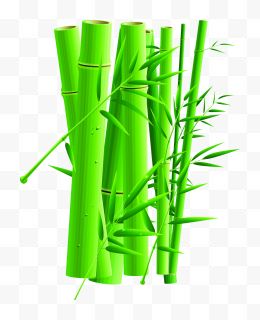 绿色竹干卡通端午