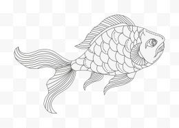 阿奎特手绘金鱼