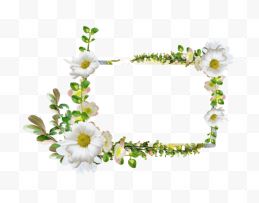 春天白色花朵花环边框