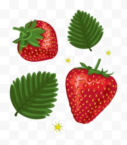 草莓草莓花叶子卡通手绘...