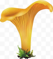 一朵矢量黄色蘑菇