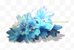 蓝色唯美花朵装饰图案