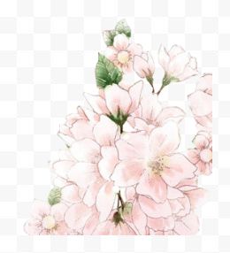 手绘粉色鲜花