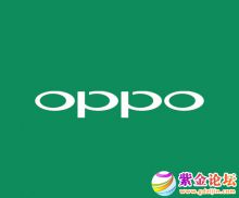 紫金OPPO招多名临时工游街宣传 70元一天 七